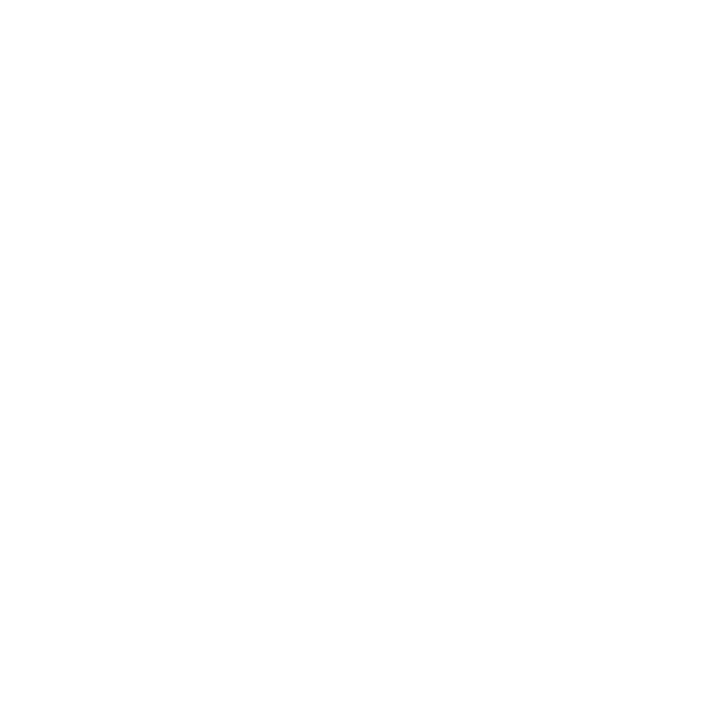 NOC logo